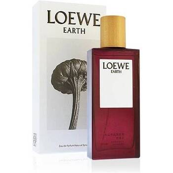 Earth EDP
